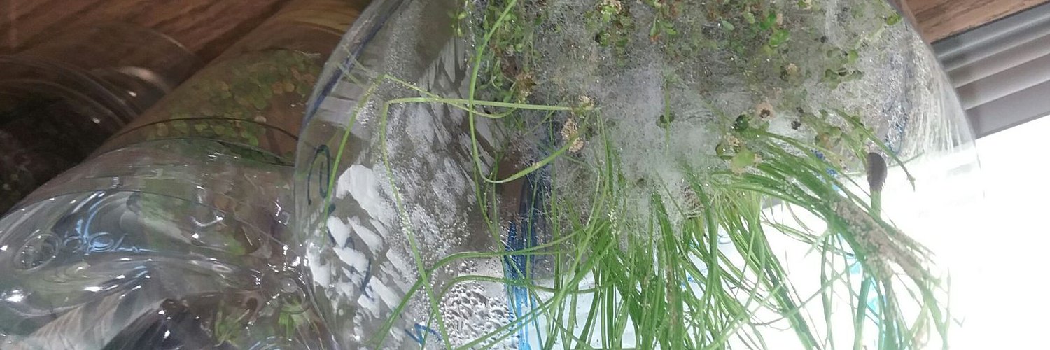 warren edward potts banner