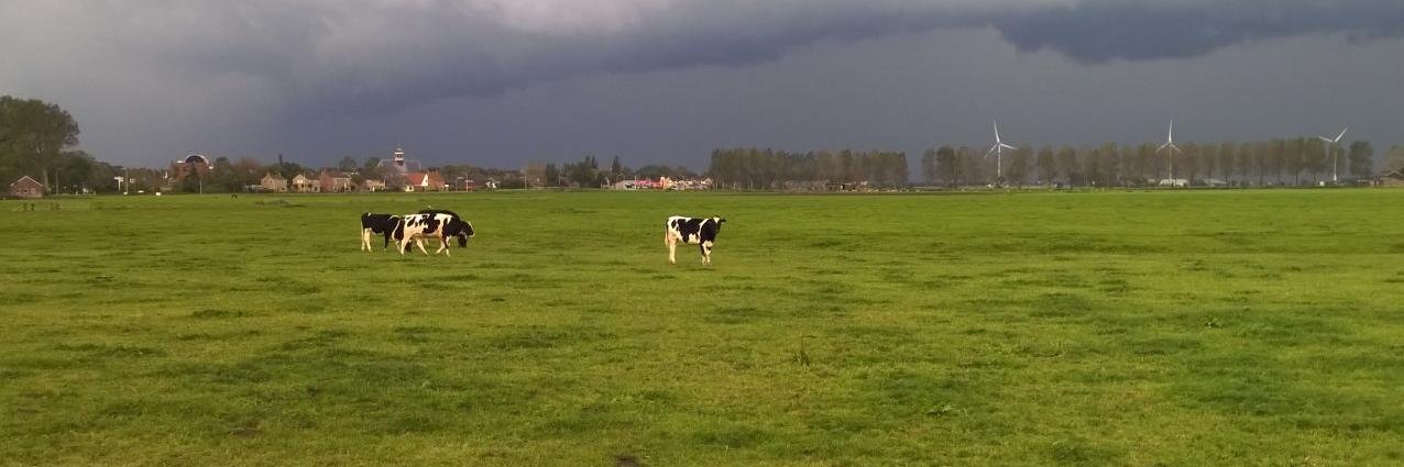 RemkoBoonstra's profile banner image