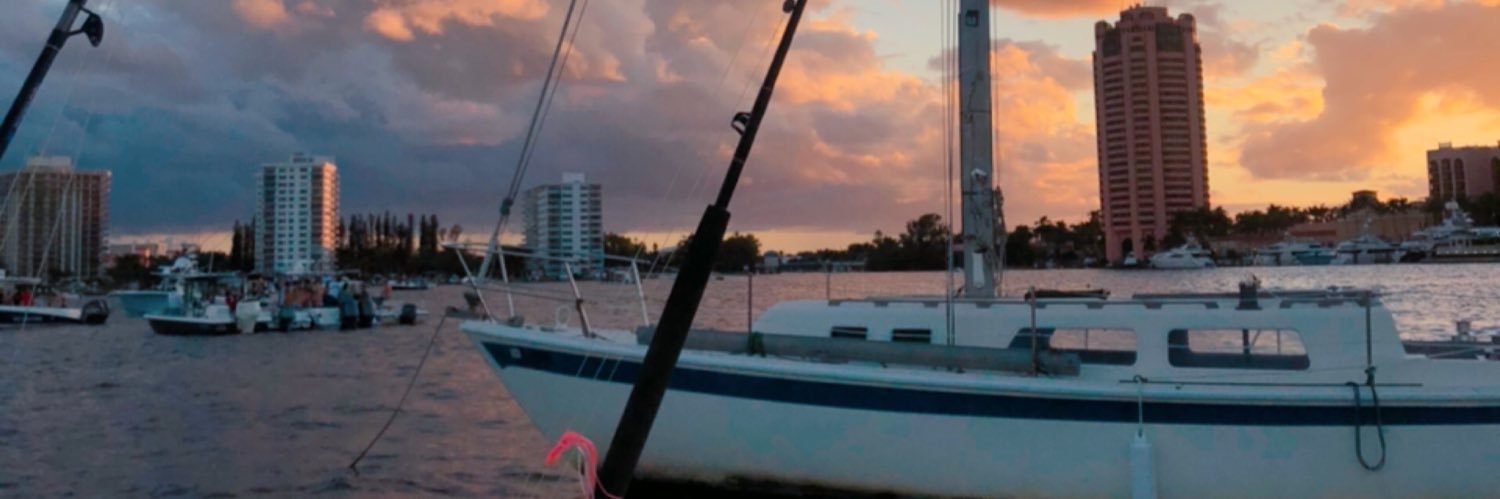ZoeZeitlin's profile banner image