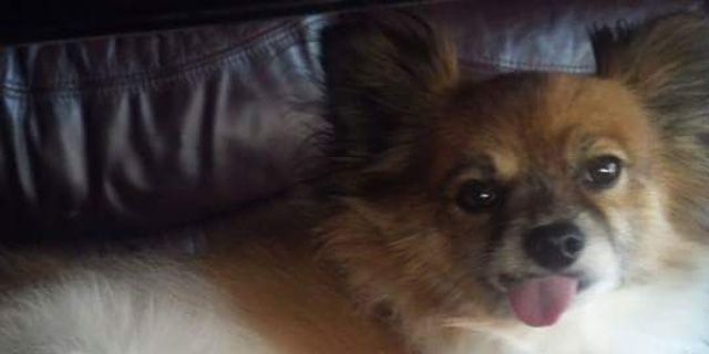 RobinBulster's profile banner image