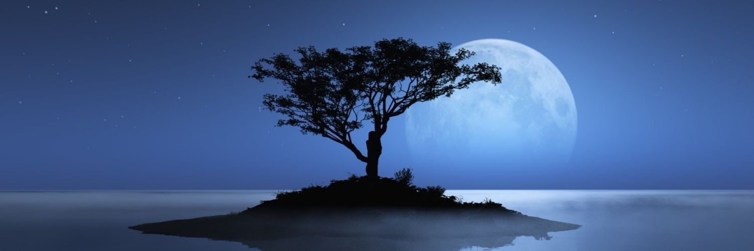 WanderingMute's profile banner image