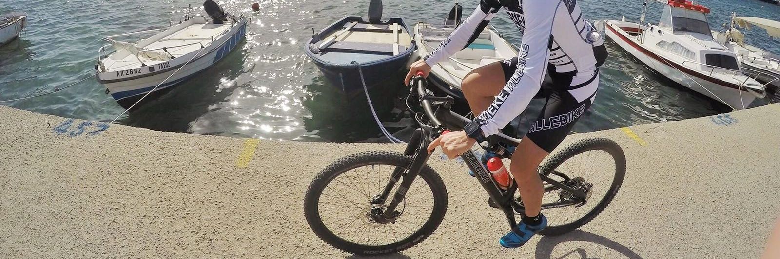 emil lindgren banner