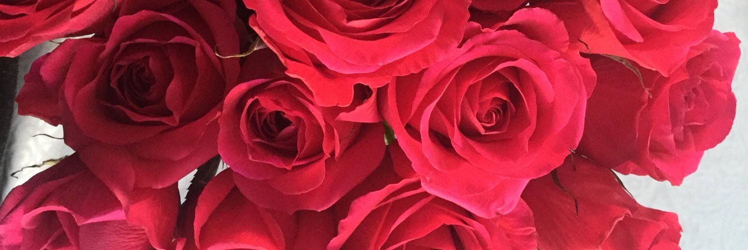 HJMetro's profile banner image