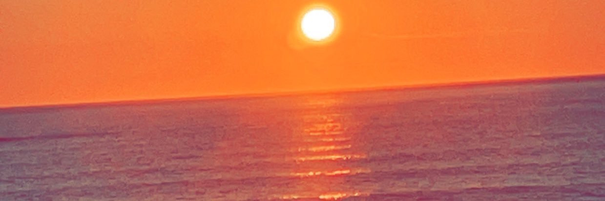 TropicSoundInWA's profile banner image