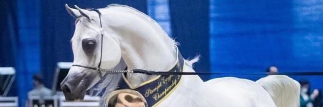 Someone banner