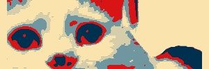 NotSafeForDoge's profile banner image