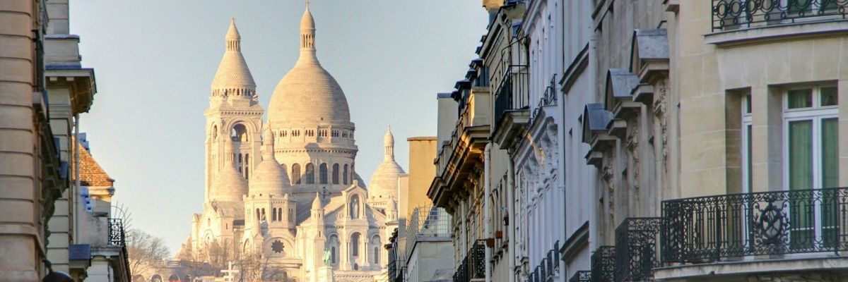 AMYADVOGATA's profile banner image