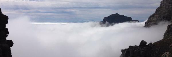 MichelleRice Profile Banner