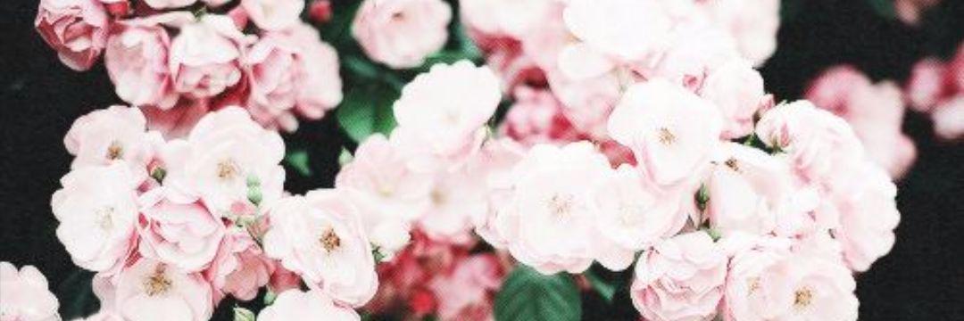 _kfeherrrr's profile banner image
