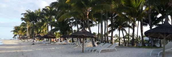 Ms_Fanta70 Profile Banner