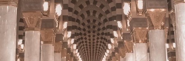 amlnhsnh Profile Banner