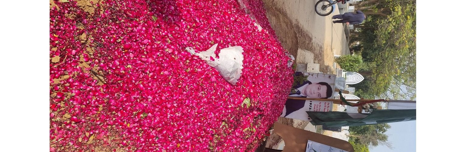 Tehreem Malik banner