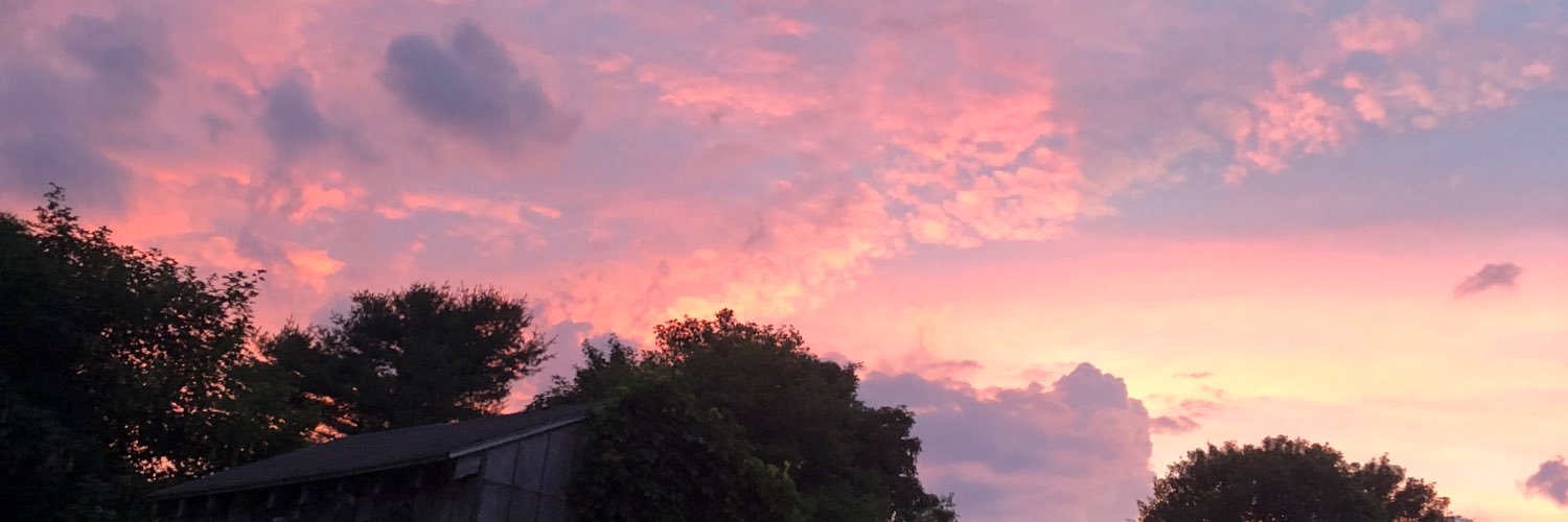 haleyy716's profile banner image