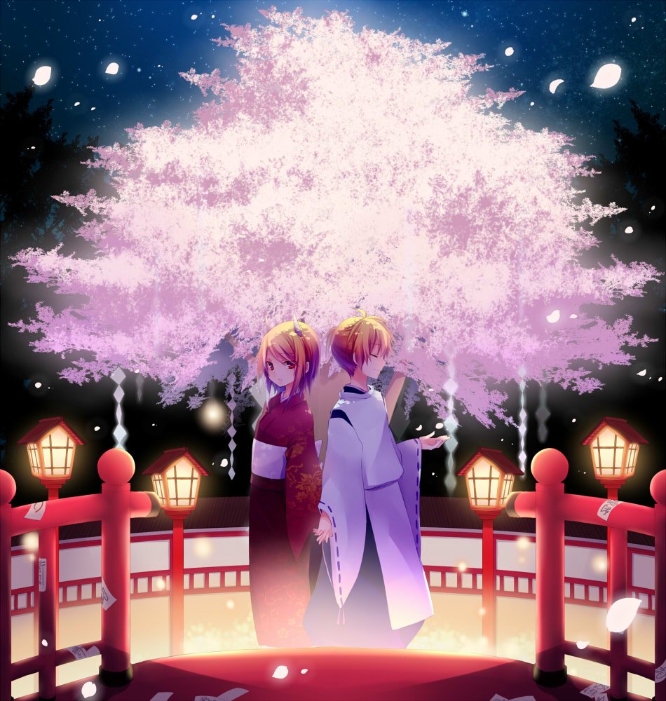 KIBO banner