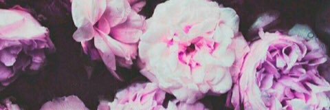 jerryt2323's profile banner image