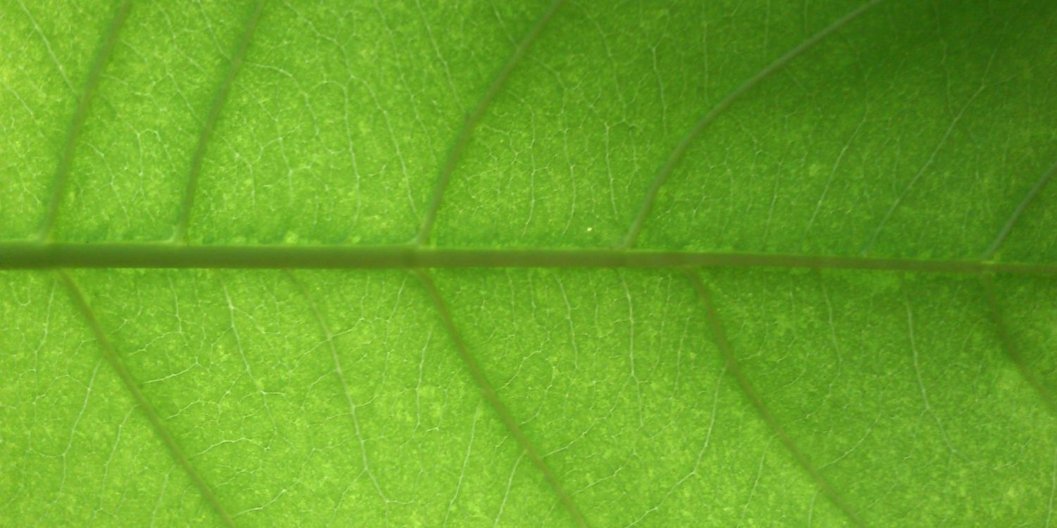 arunsj's profile banner image