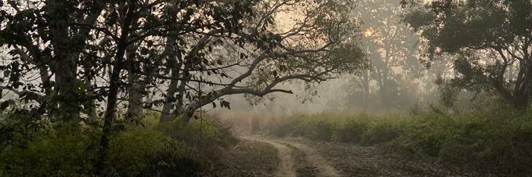 arpitshukla95's profile banner image