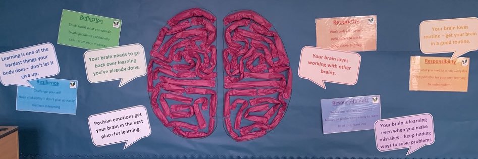 kellisSCITTDDir's profile banner image
