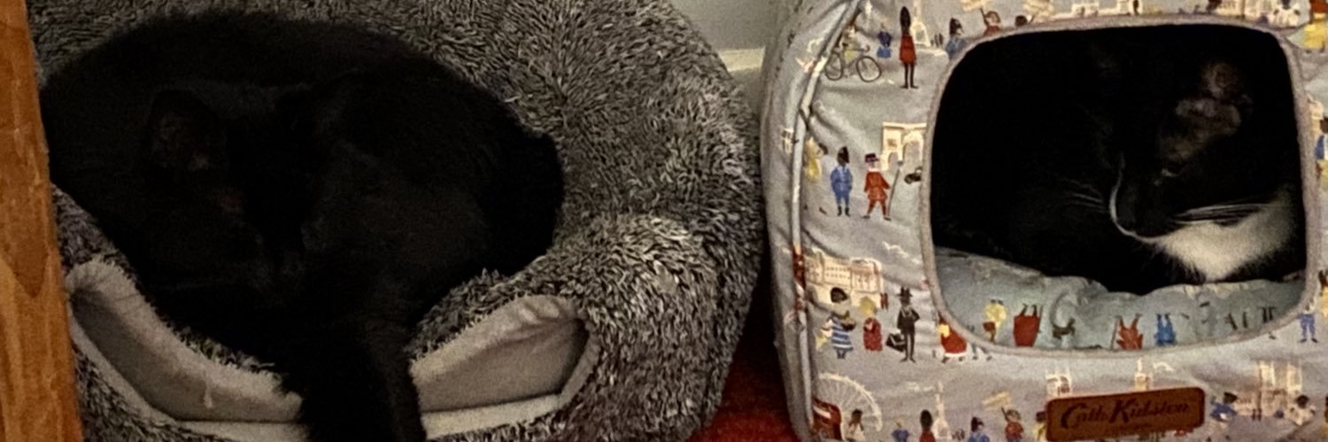 Tracey, Sox and Sooty banner