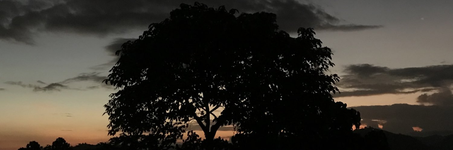 jerickoyy's profile banner image
