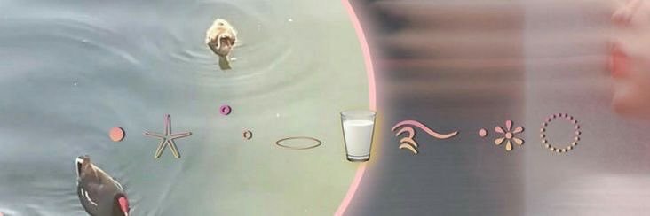 Elsie banner