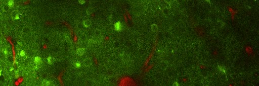 Pablo Blinder banner