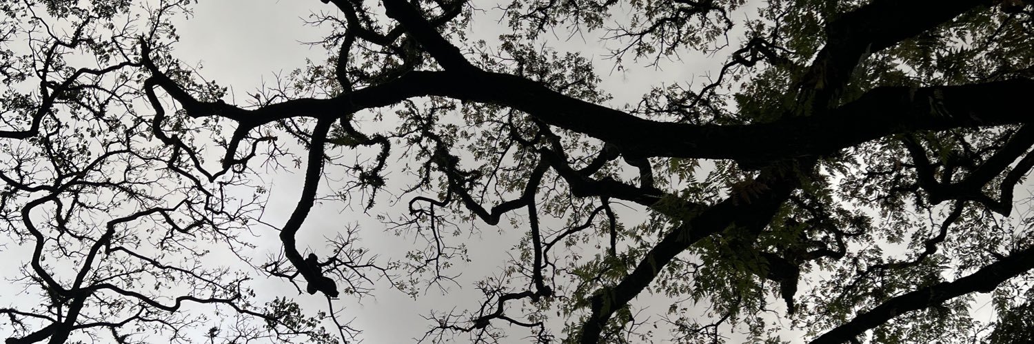 84674's profile banner image