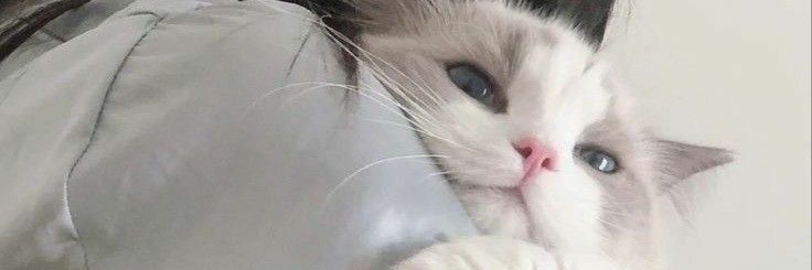 amwekk's profile banner image