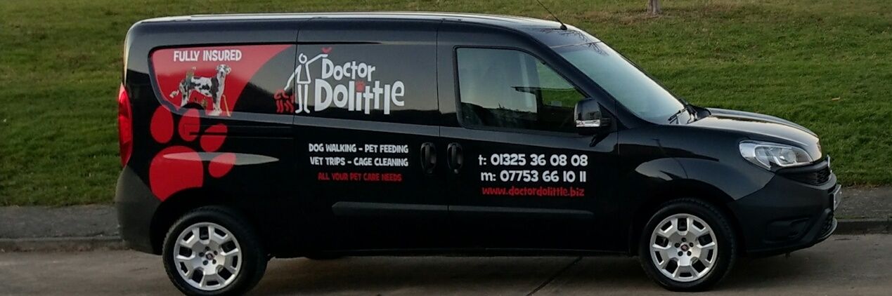 DolittleL's profile banner image