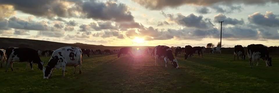 Georgina Roberts banner