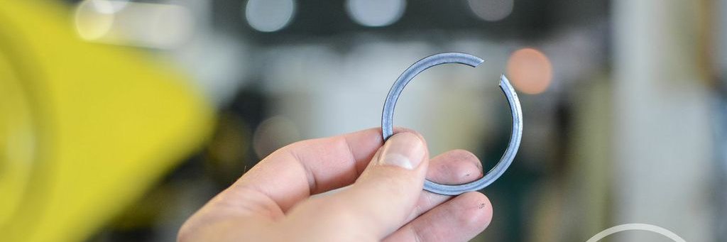 American Ring banner