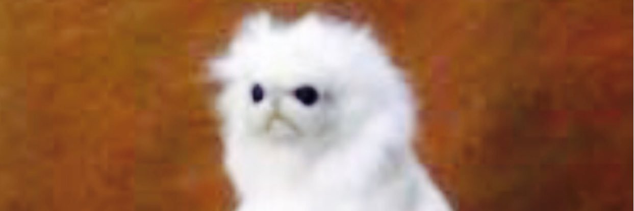 milliePlays_'s profile banner image