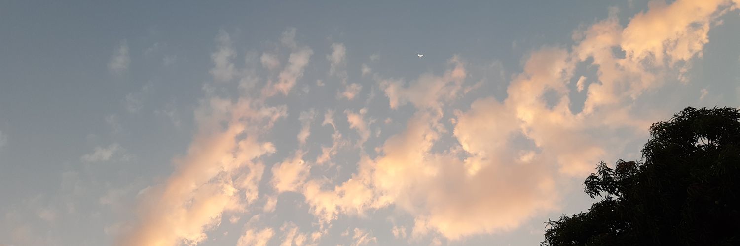 farinnarvaez's profile banner image