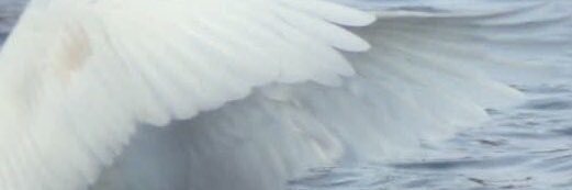 fumaav's profile banner image