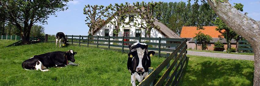 Visit Groene Hart banner