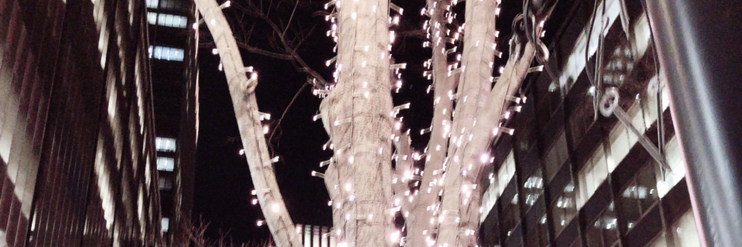 ni banner