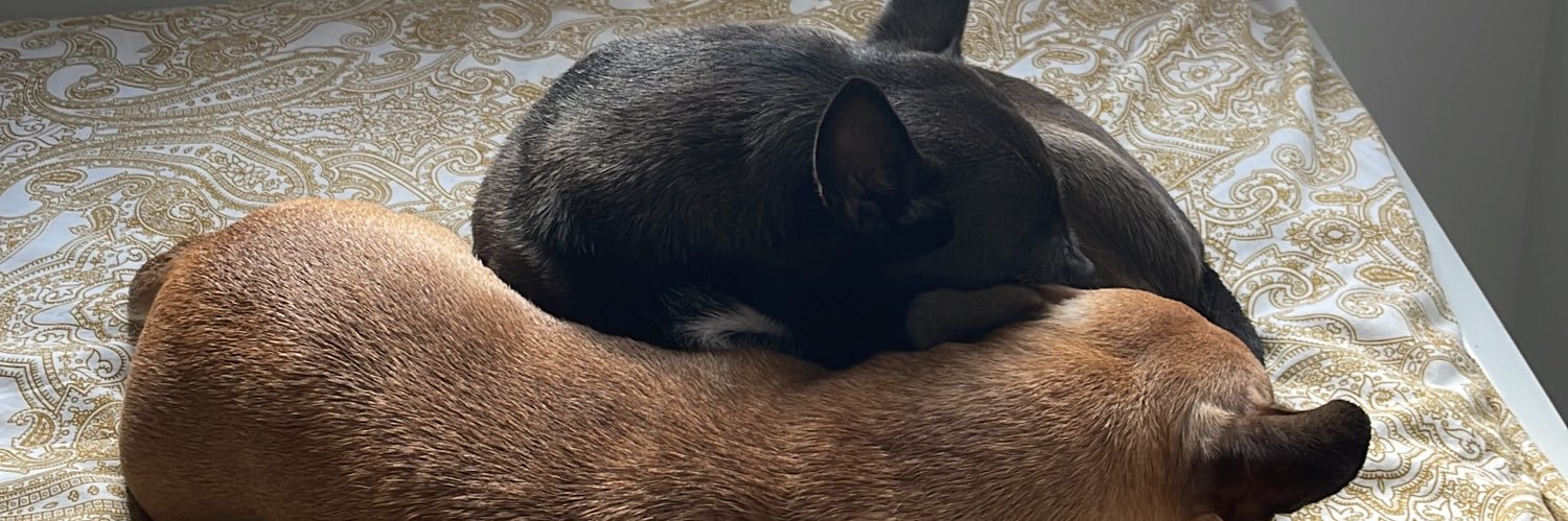 Vlad Focsa Chiritoiu banner