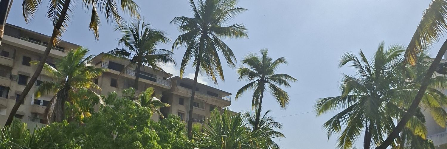 hadialogs's profile banner image