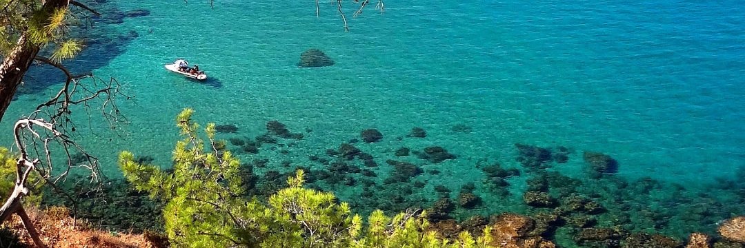 Andis Sofianos banner