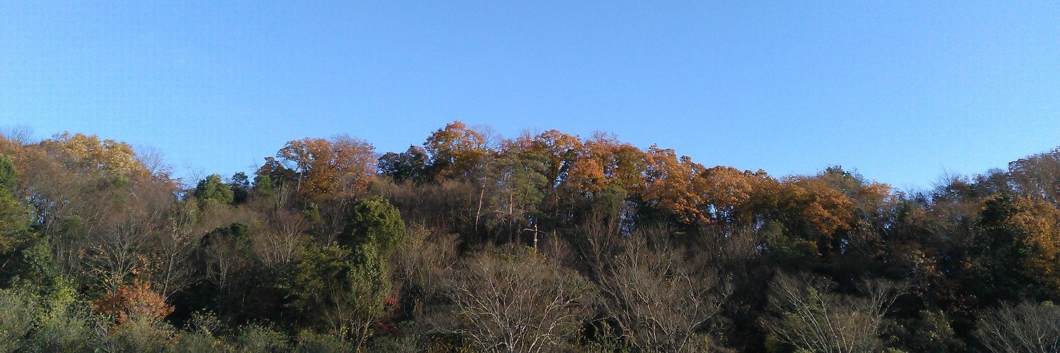 Terrestrial_K's profile banner image