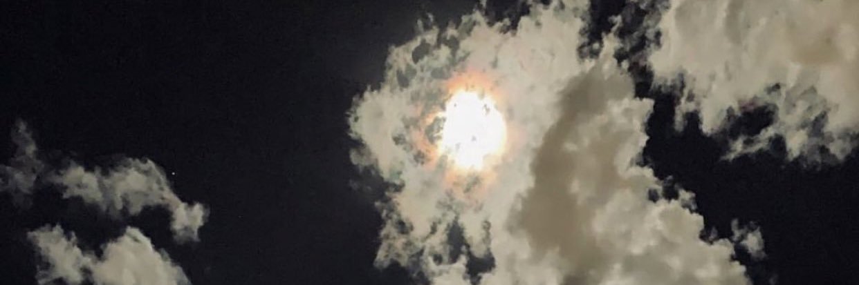 moheb0123's profile banner image