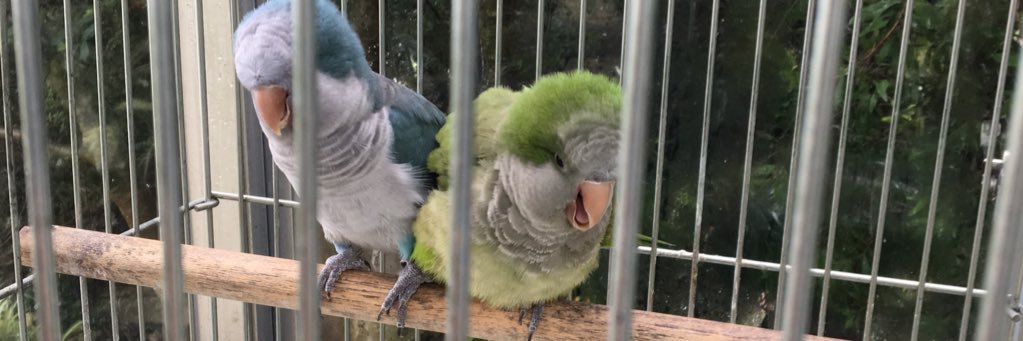 おにくまん banner