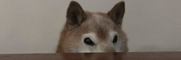 brianjoy87's profile banner image