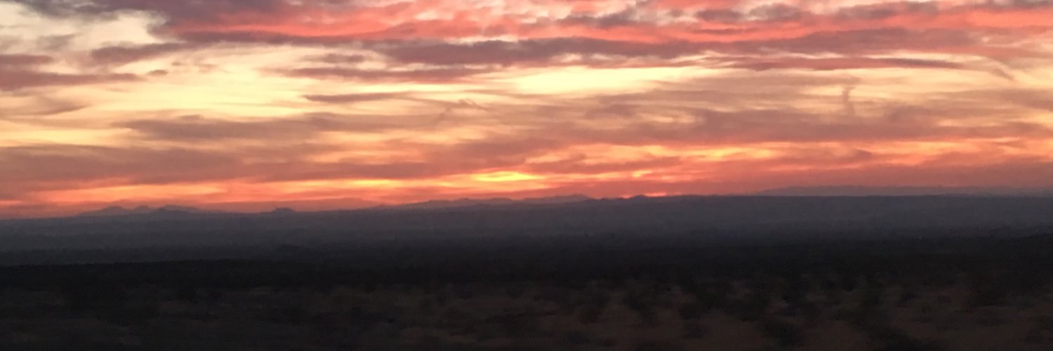 ChristyKarrArd's profile banner image