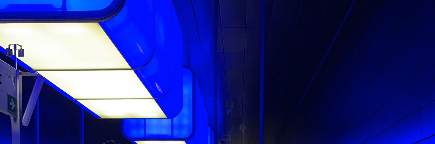 __litzi__'s profile banner image