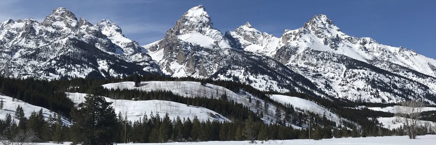 Heather Highsmith banner