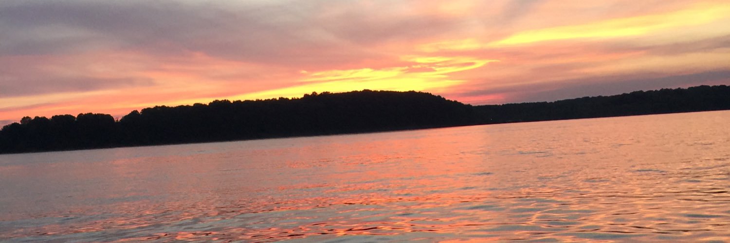 RVK_KimPossible's profile banner image