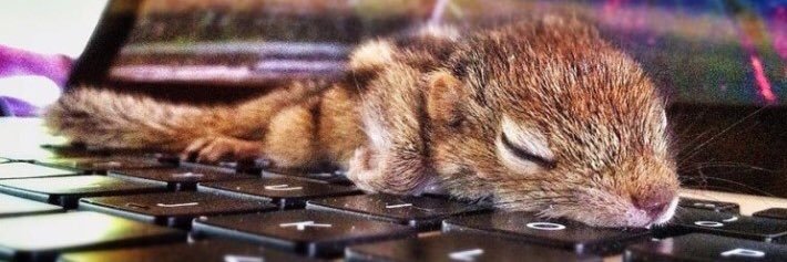 idontknowabouts's profile banner image