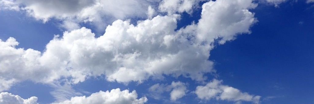 sofiaggoonzalez's profile banner image