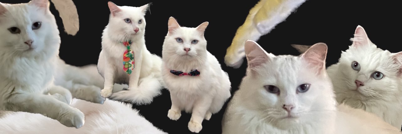 TheArswb's profile banner image